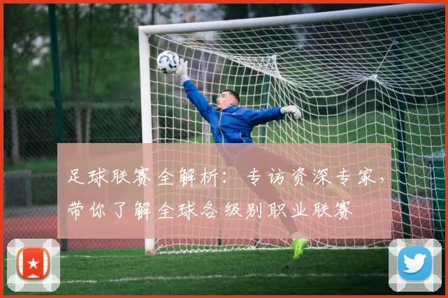 足球联赛全解析：专访资深专家，带你了解全球各级别职业联赛