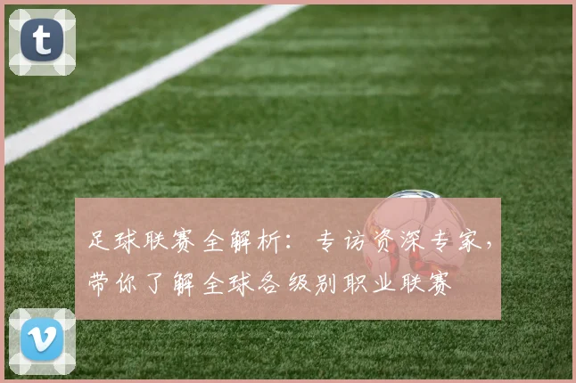 足球联赛全解析：专访资深专家，带你了解全球各级别职业联赛